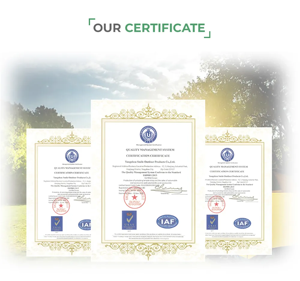 Certificación 1