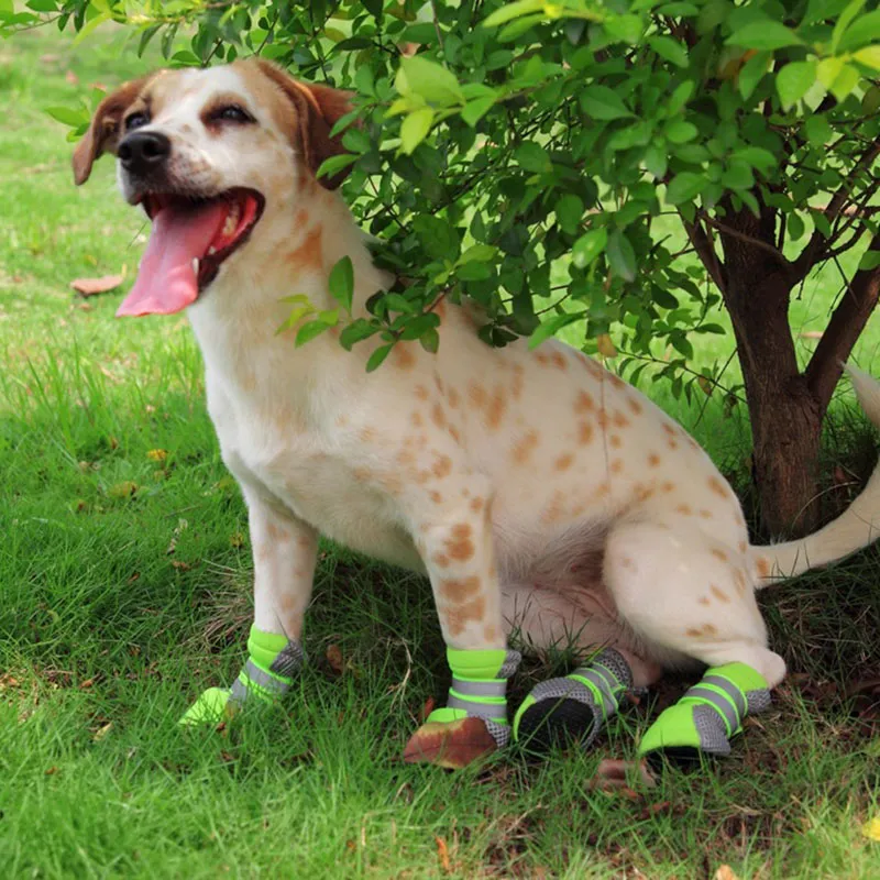 Zapatos para perros deportivos cómodos, casuales, reflectantes y transpirables de malla al por mayor