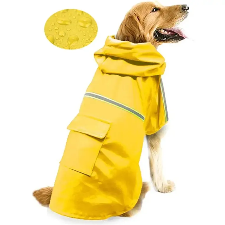Impermeable Duradero para Perros: El Equipo Definitivo para Climas Húmedos