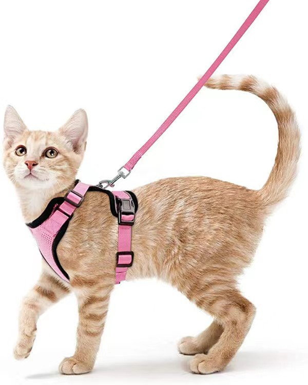 Fabricantes OEM Personalizado Sublimación Escape Prueba Fácil Ajustable Arnés Correa y Arnés para Gato
