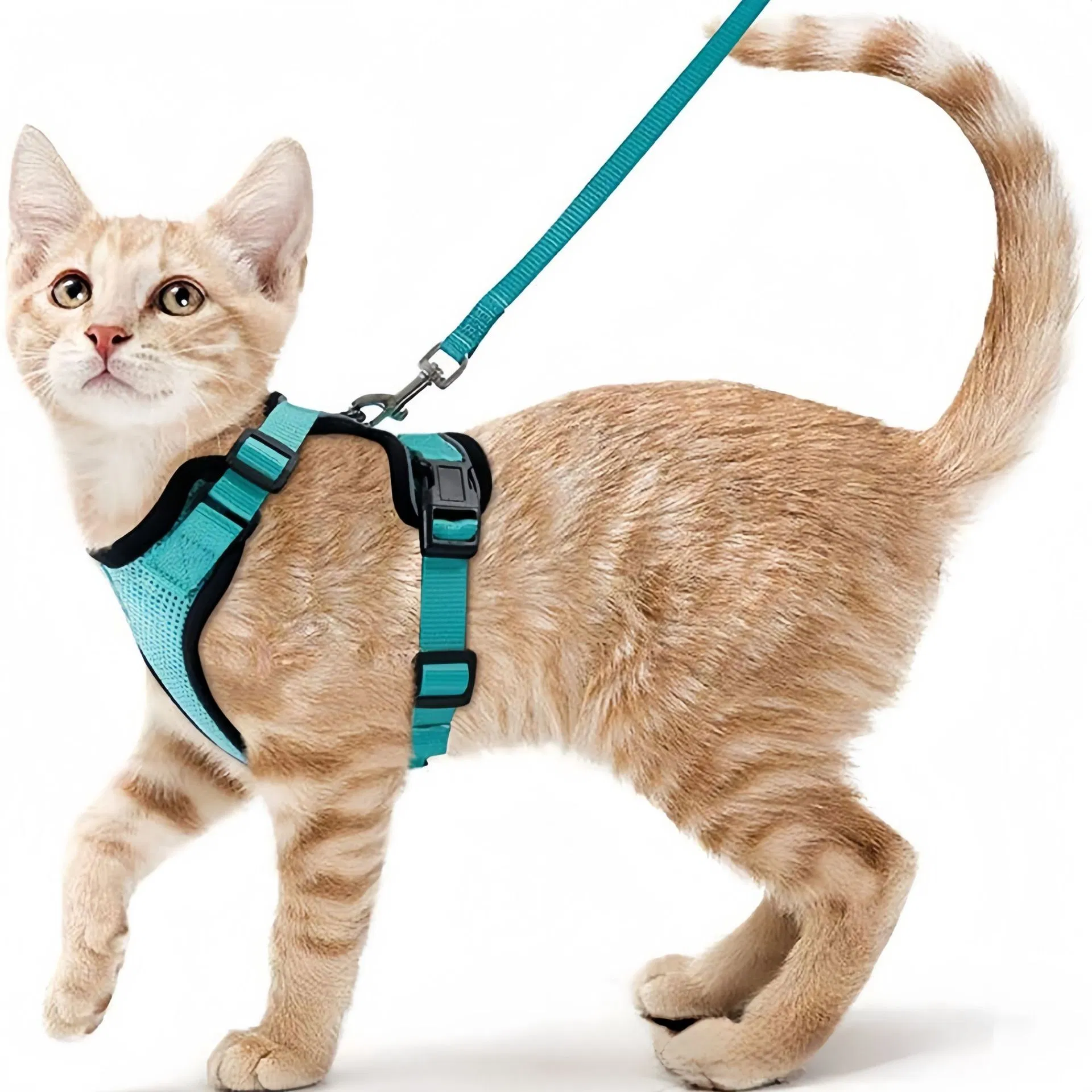 Arneses para gatos de todas las estaciones y cuerdas de salida, correas para el pecho de mascotas para aventuras al aire libre, nuevo arnés para mascotas