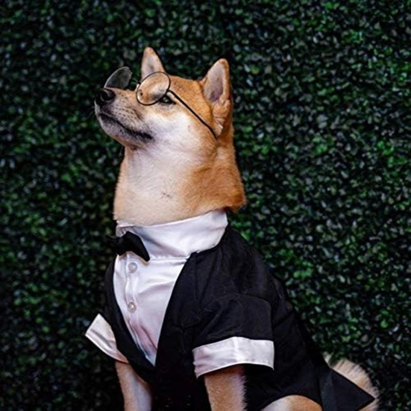 Lyjenny 4ourcostumes Ropa elegante para bodas y fiestas para perros y gatos