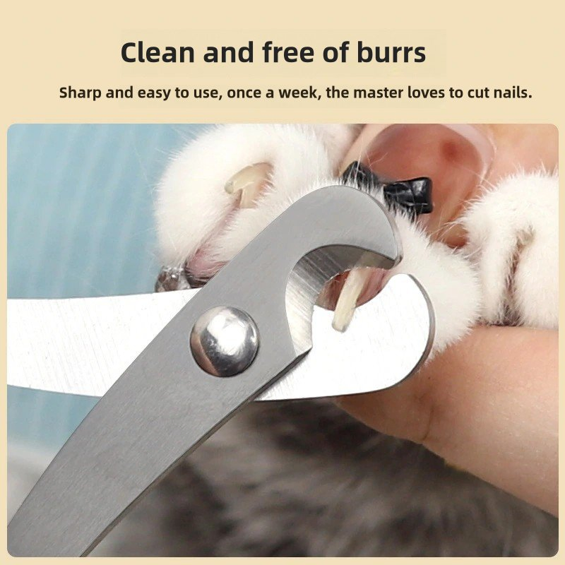 Cortauñas para gatos, cortauñas para mascotas, cortauñas para gatos, suministros para perros, venta al por mayor, cuidado de grooming, tijeras