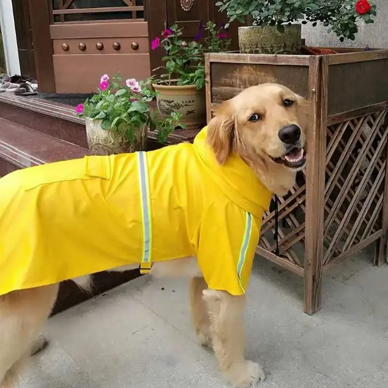 Impermeable Duradero para Perros: El Equipo Definitivo para Climas Húmedos