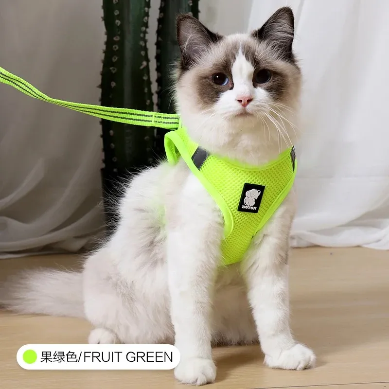 Arnés de malla transpirable para gatitos
