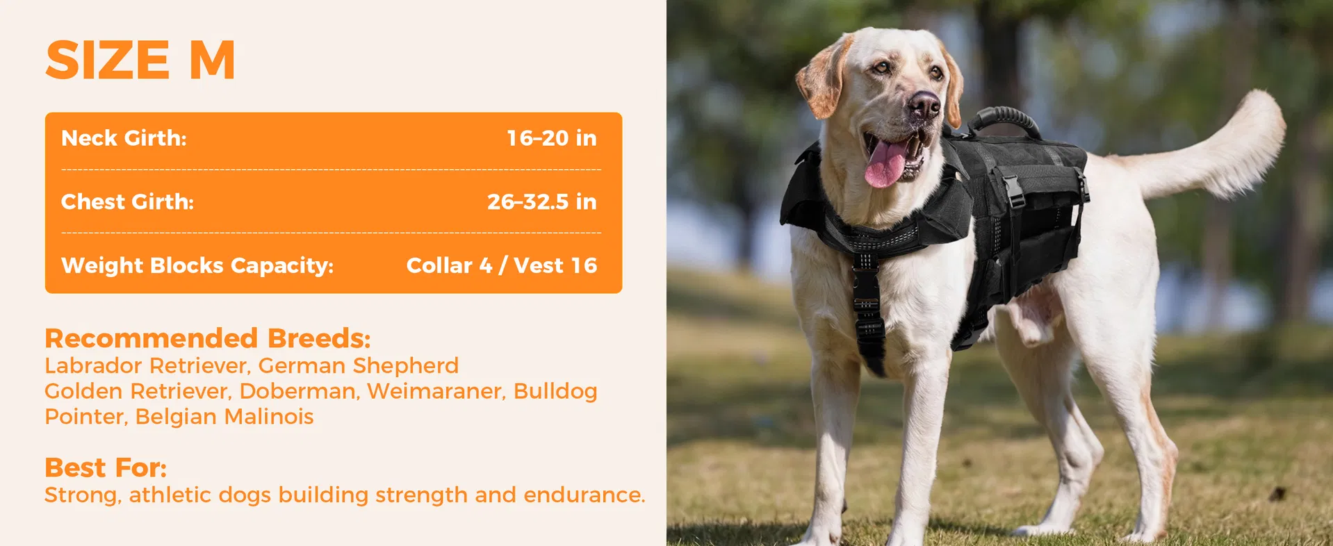 Conjunto de Chaleco y Collar para Perros con 4 Pesas Removibles de 0.88 Lb Equipamiento de Entrenamiento para Perros Medianos y Grandes