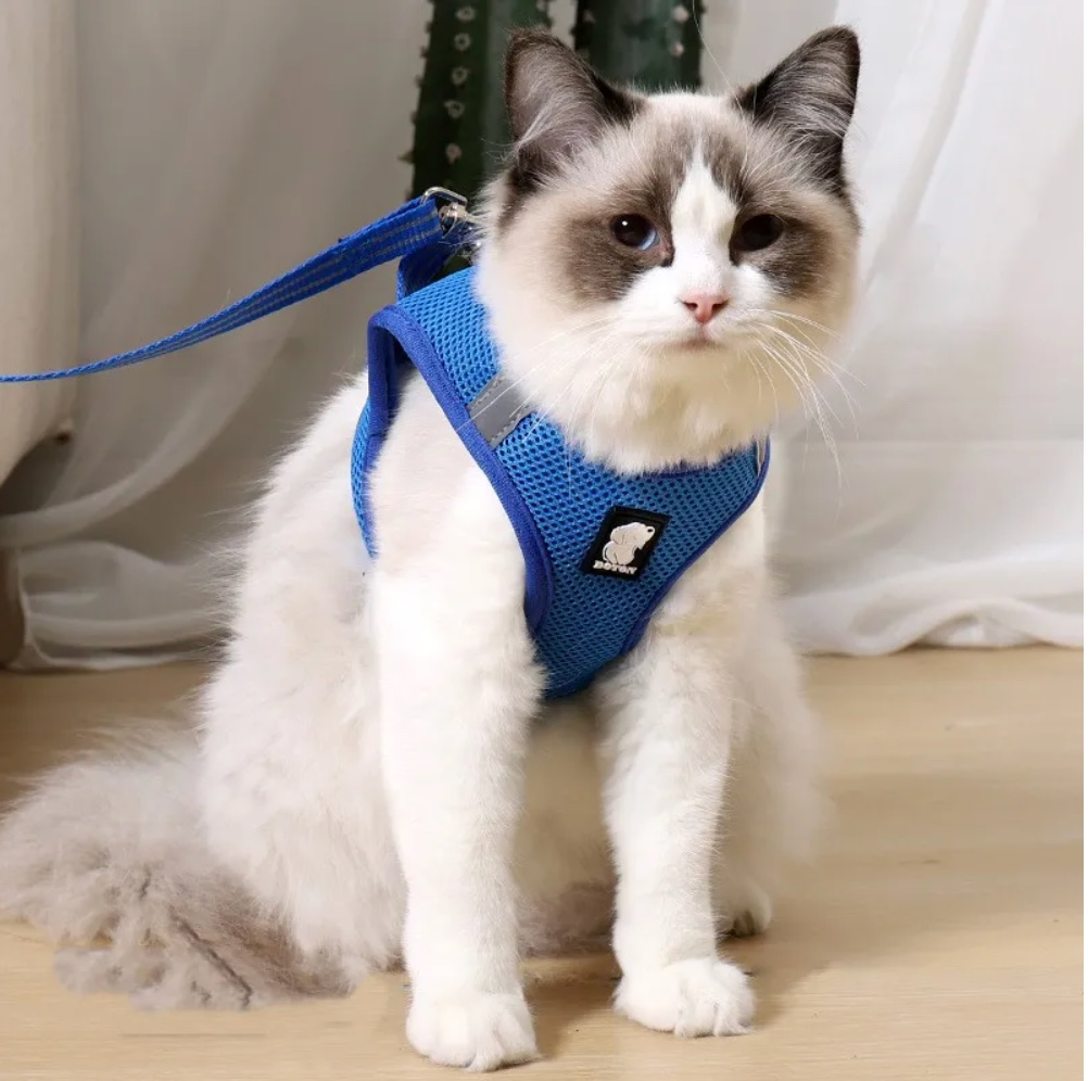 Arneses para mascotas con tirantes ajustables de malla transpirable y tira reflectante