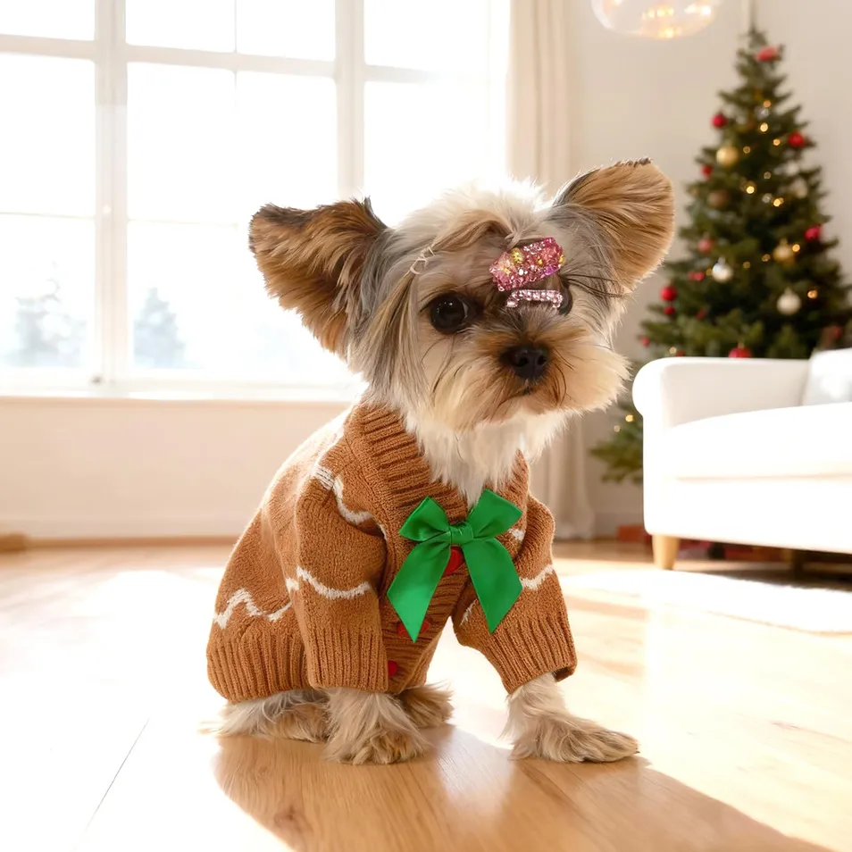 Ropa para mascotas personalizable