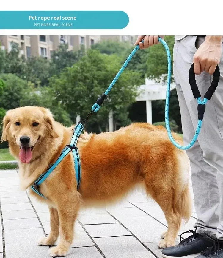 Correa de nylon reflectante para perros