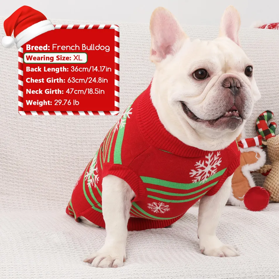 Ropa de punto para mascotas