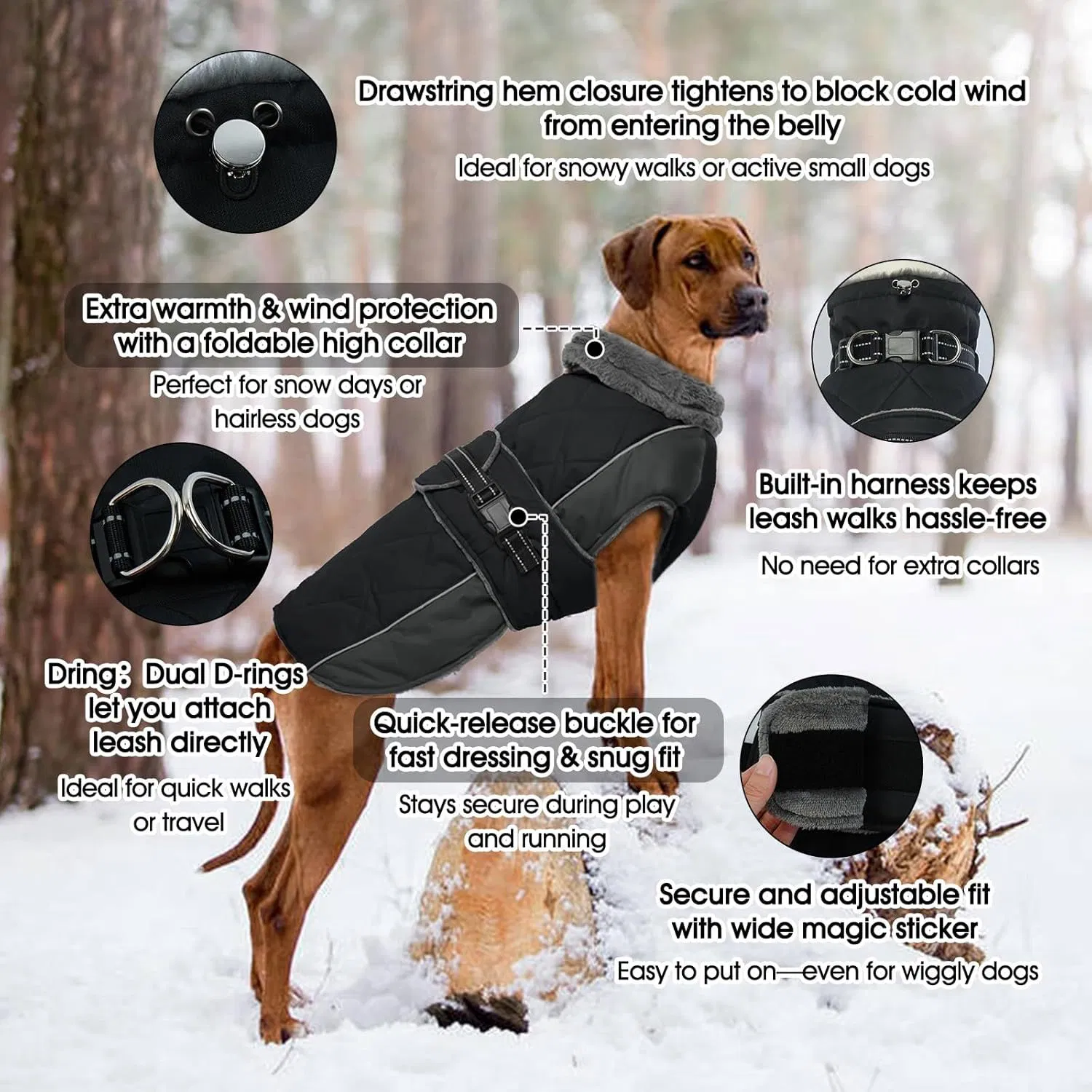 Abrigo de Algodón de Cuello Alto para Mascotas, Ropa Cálida para Perros Ideal para Salidas