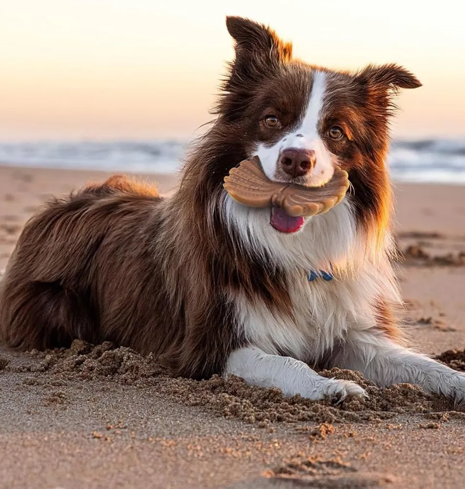 Juguetes interactivos para perros, duraderos, resistentes a mordidas, a prueba de fugas, para limpiar los dientes y moler huesos