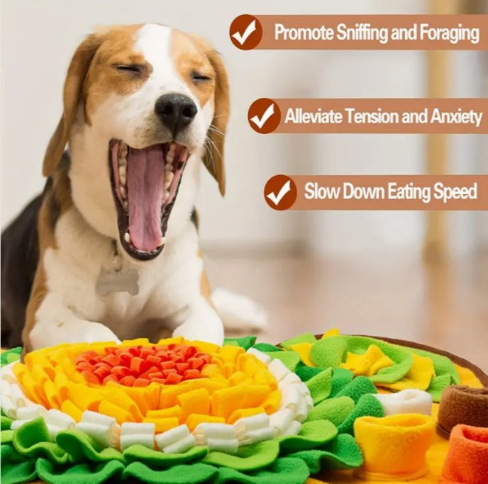 Cuenco de comida y cuenco de agua alimentador lento para perros
