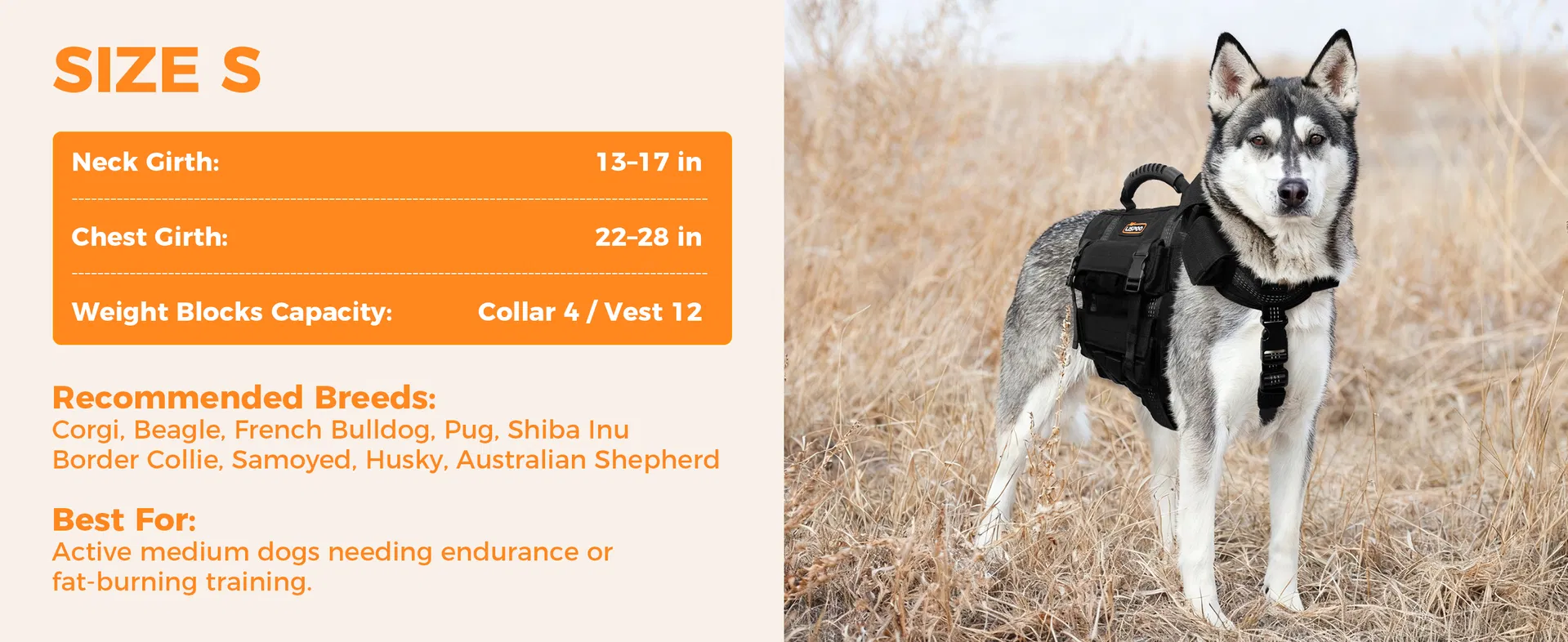 Conjunto de Chaleco y Collar para Perros con 4 Pesas Removibles de 0.88 Lb Equipamiento de Entrenamiento para Perros Medianos y Grandes