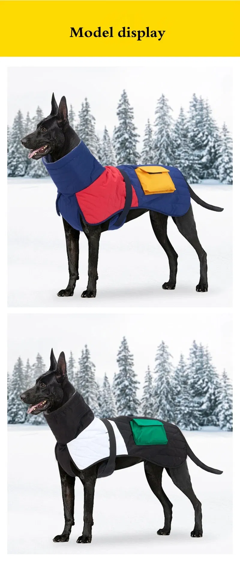 Detalle chaqueta perro 5