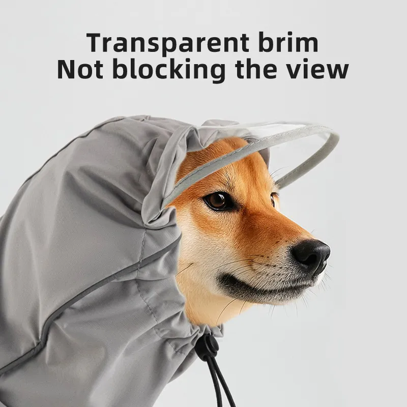 Impermeable definitivo para perros