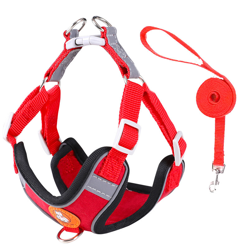 Diseño de todo los pequeños perros gatos Pet Safe correa corta el mazo de cables