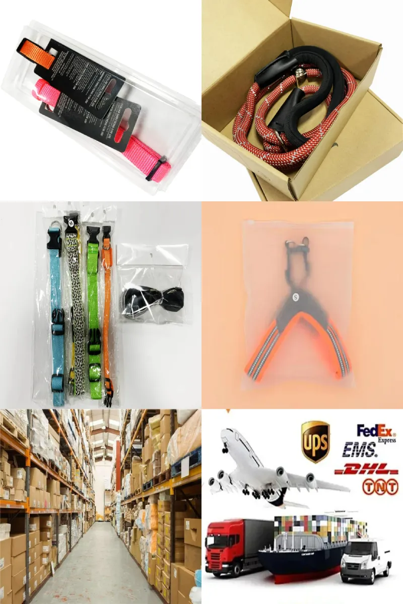 Cuerda de seguridad de alta elasticidad al por mayor, productos para mascotas, correa para perros, cinturón de seguridad para automóvil
