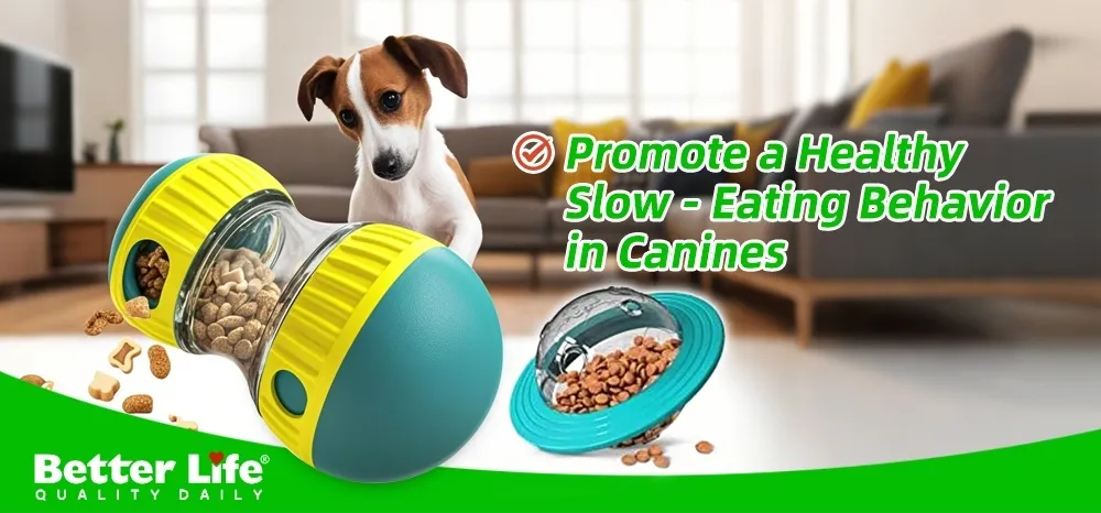 Tazón de comida para perros y gatos de silicona ecológica, tazón antideslizante para mascotas