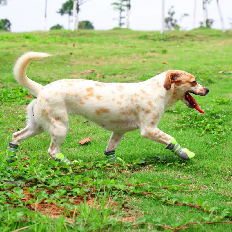 Zapatos para perros deportivos cómodos, casuales, reflectantes y transpirables de malla al por mayor