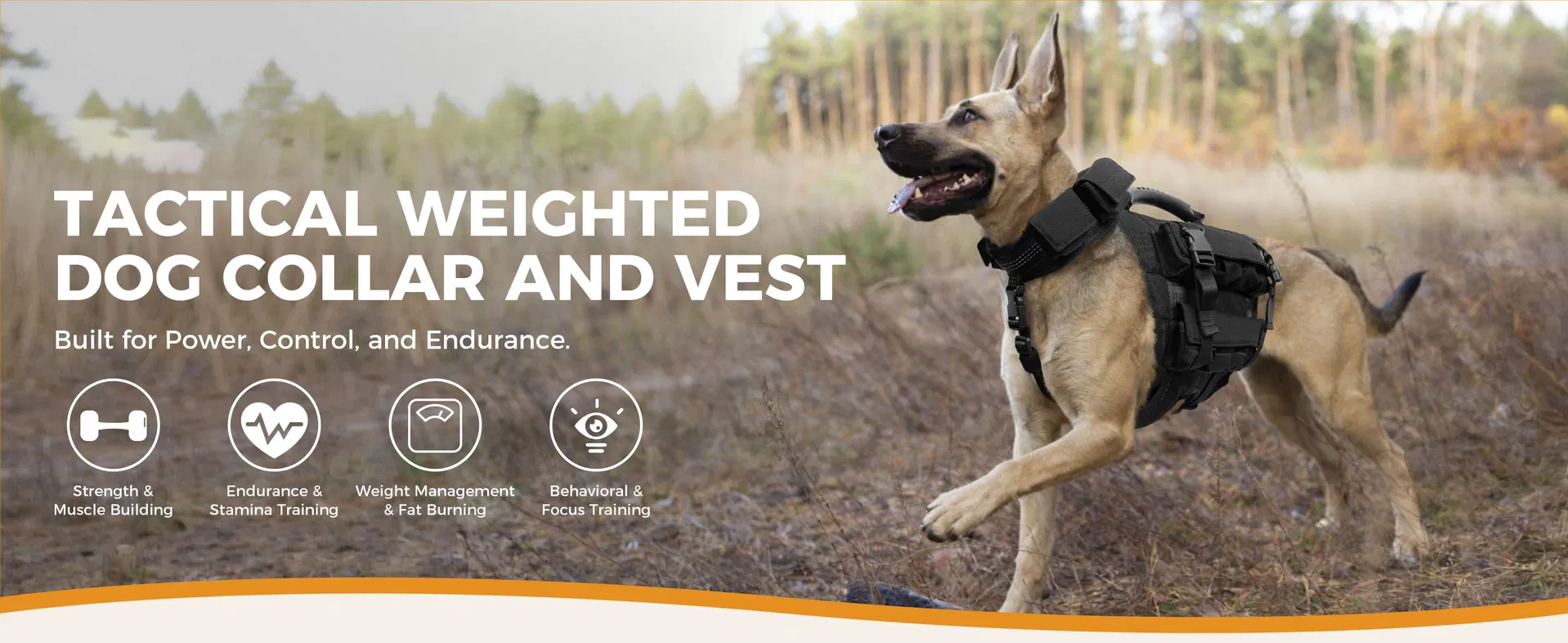 Conjunto de Chaleco y Collar para Perros con 4 Pesas Removibles de 0.88 Lb Equipamiento de Entrenamiento para Perros Medianos y Grandes