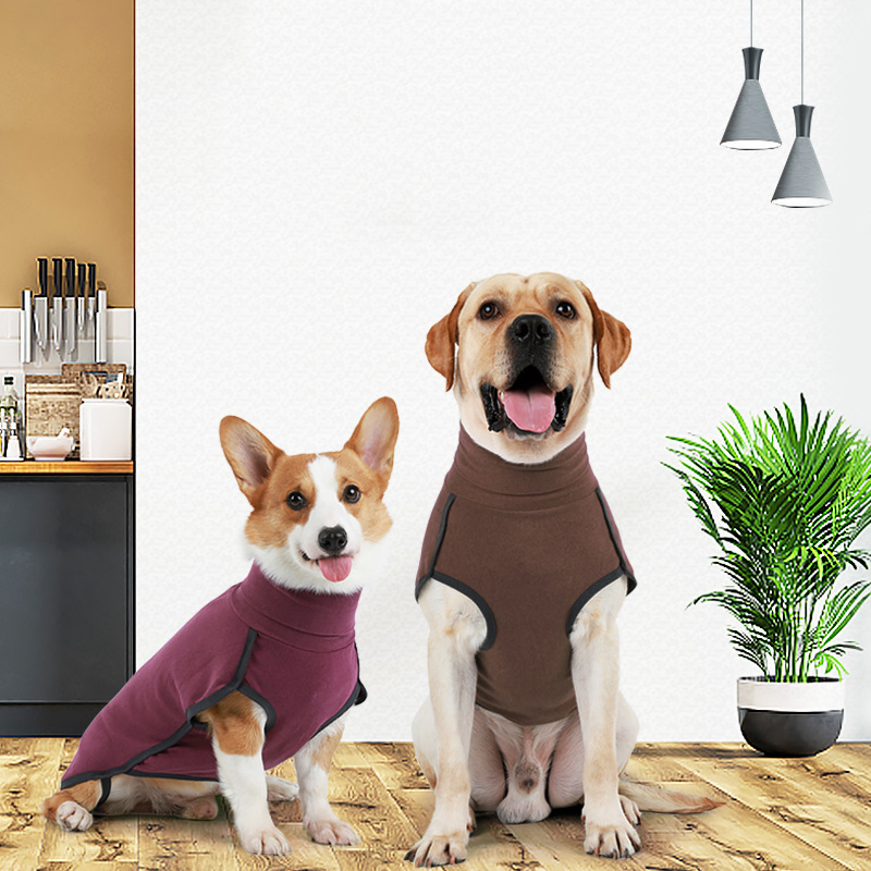 Cross-Border Autumn and Winter New Dog Clothes Warm Home Dog High Collar Sweater Cotton Clothing Pet Clothing Dog Clothes