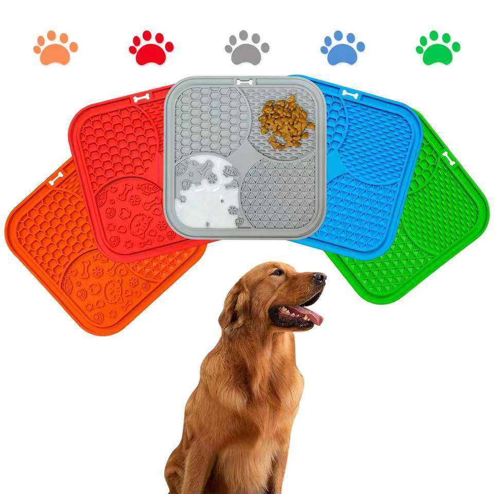 Perro baño ansiedad comida comedero lento