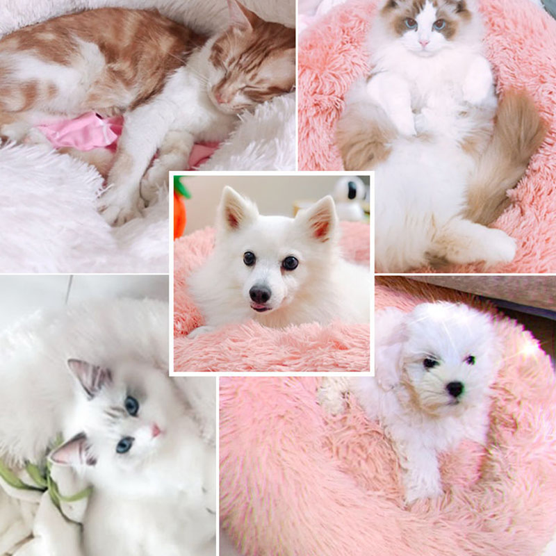 Suministros para mascotas al por mayor cama de lujo personalizada cálida suave de felpa cómoda para perros y gatos