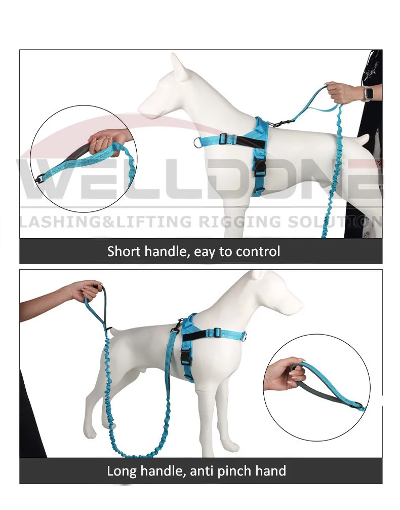 Correa para perro elástica bungee reflectante con doble mango y absorción de impactos