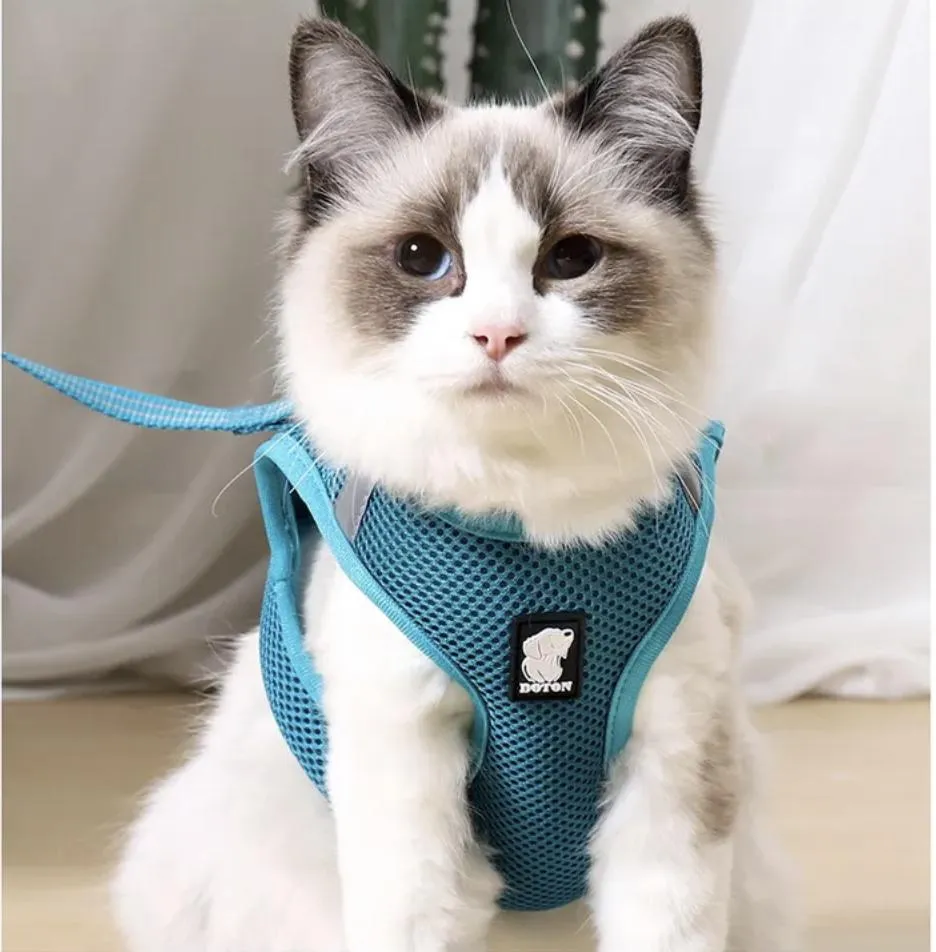 Arneses para mascotas con tirantes ajustables de malla transpirable y tira reflectante