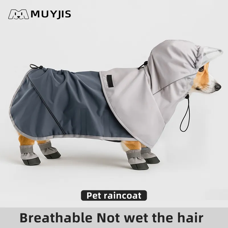 Impermeable definitivo para perros - Mejor equipo para mascotas