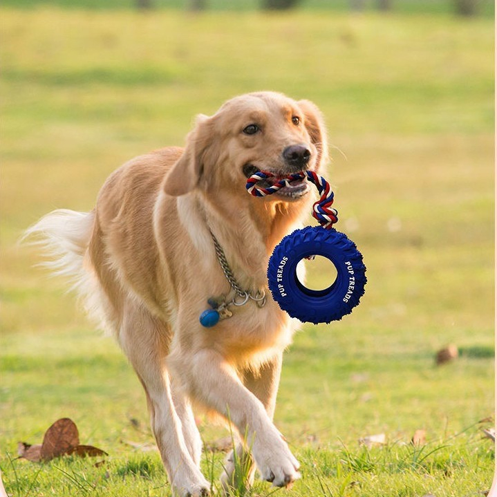 Juguete de masticar de cuerda dispensador de comida para perros interactivo de goma duradera