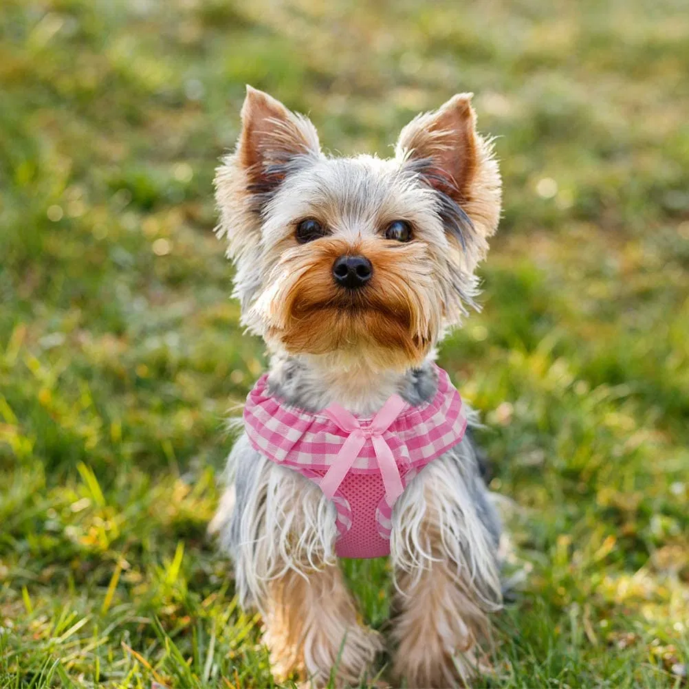 Arnés de moda para mascotas, perro y gato