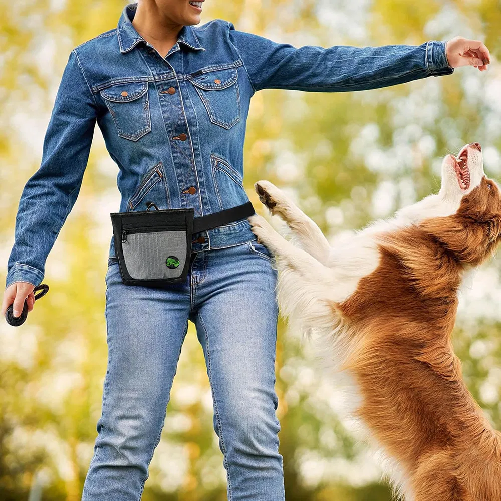 Bolsa de golosinas multifuncional para pasear y entrenamiento de obediencia