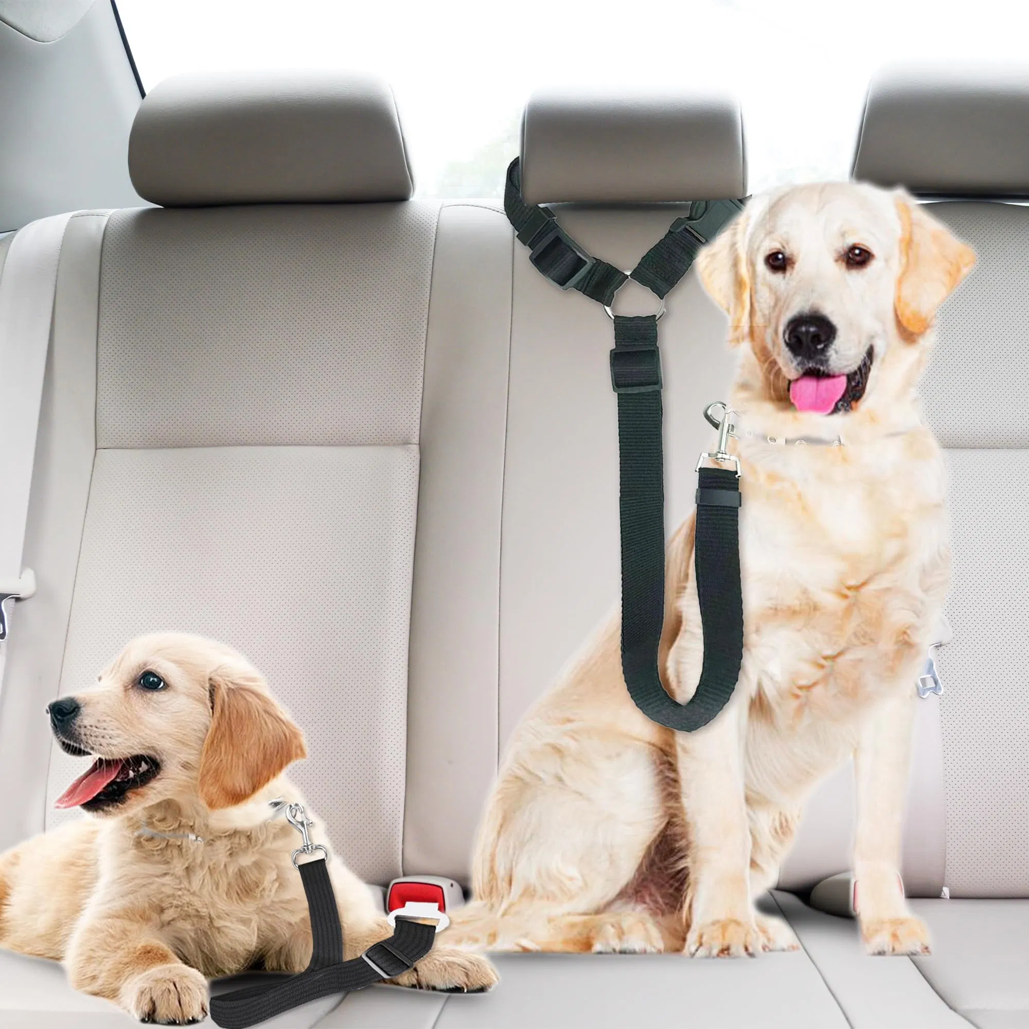 Cinturón de seguridad para mascotas de nylon de alta calidad a granel para perros