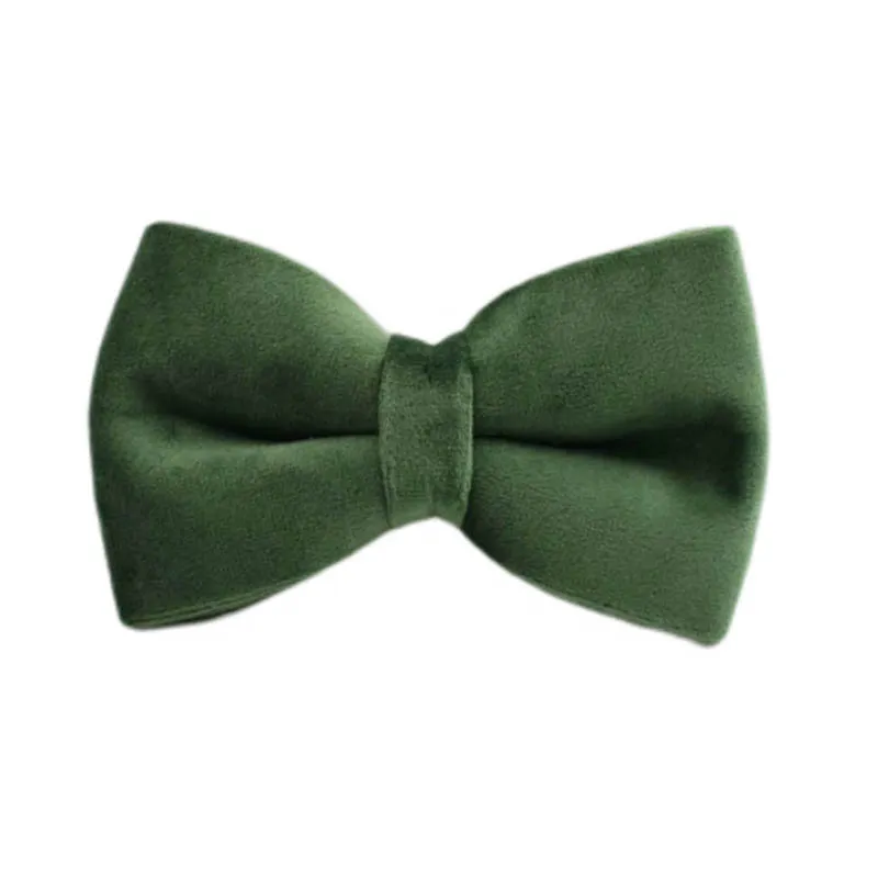 Conjunto de Arnés para Perros