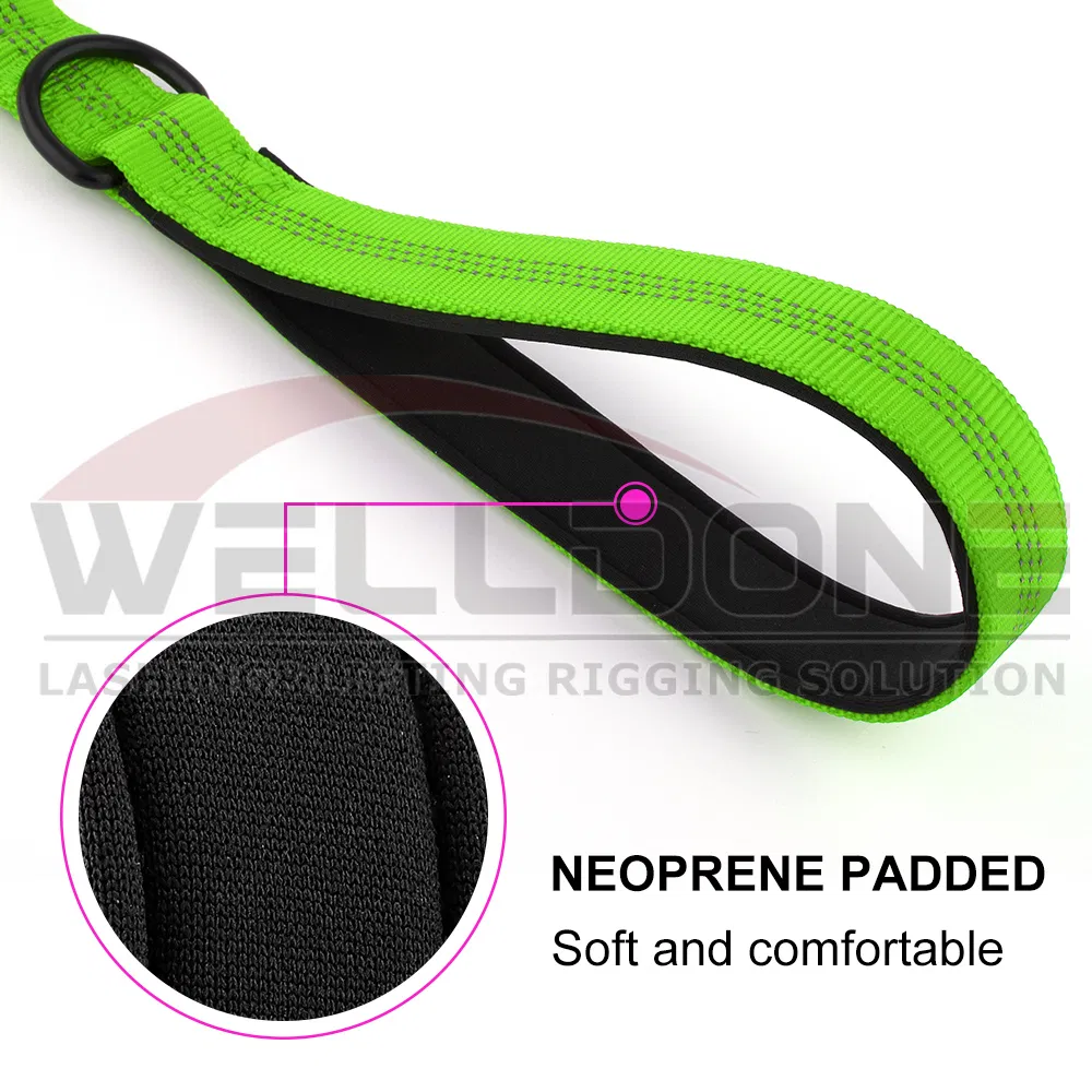 Correa para perro elástica bungee reflectante con doble mango y absorción de impactos