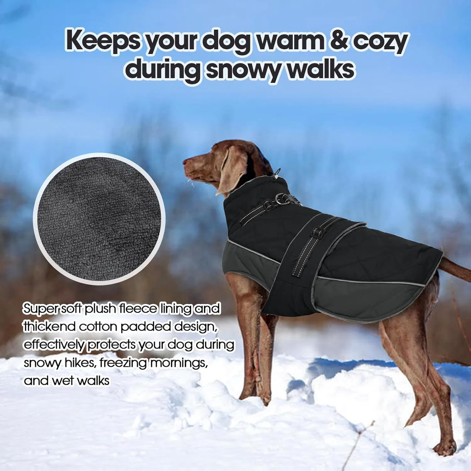 Abrigo de Algodón de Cuello Alto para Mascotas, Ropa Cálida para Perros Ideal para Salidas