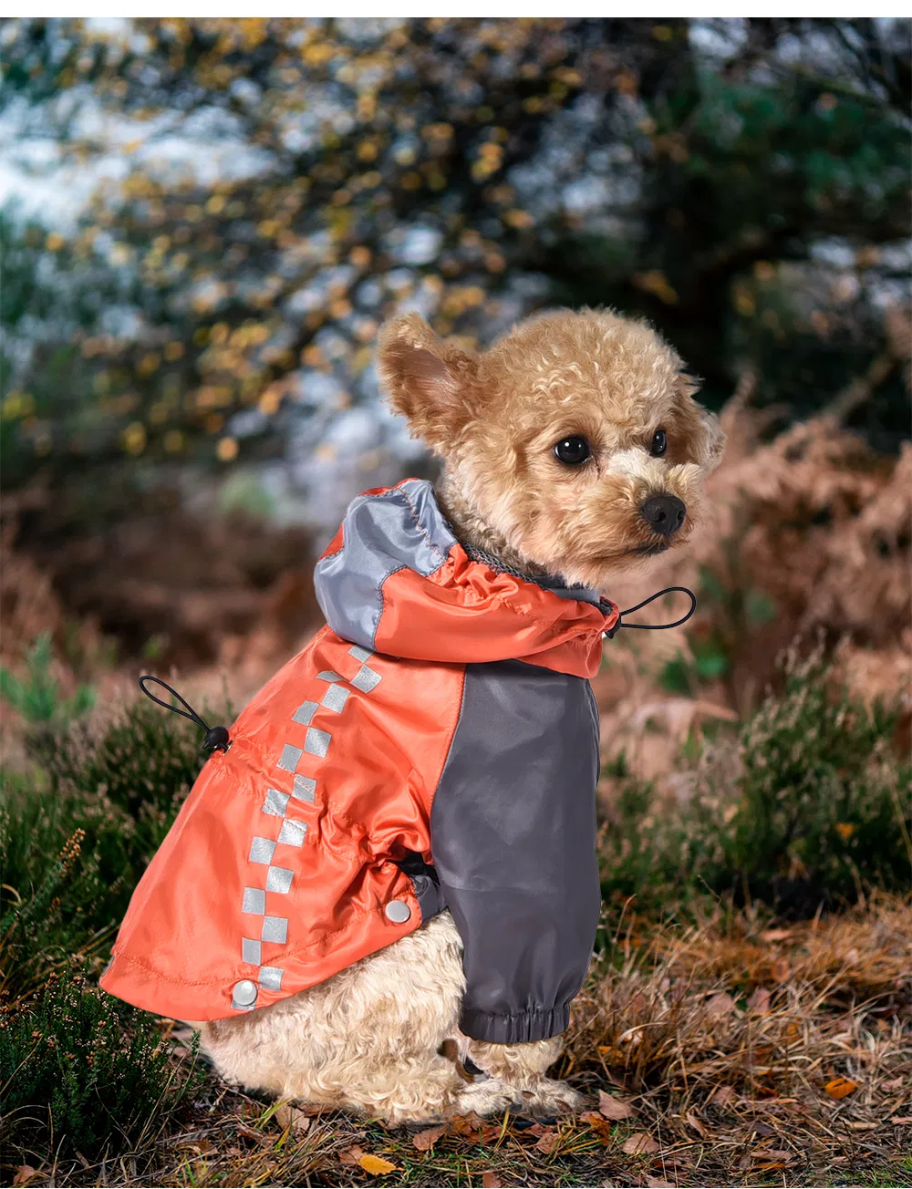 Fábrica de Ropa para Mascotas Chaqueta Ligera Impermeable para Perros Ropa para Perros Ropa Transpirable para Mascotas