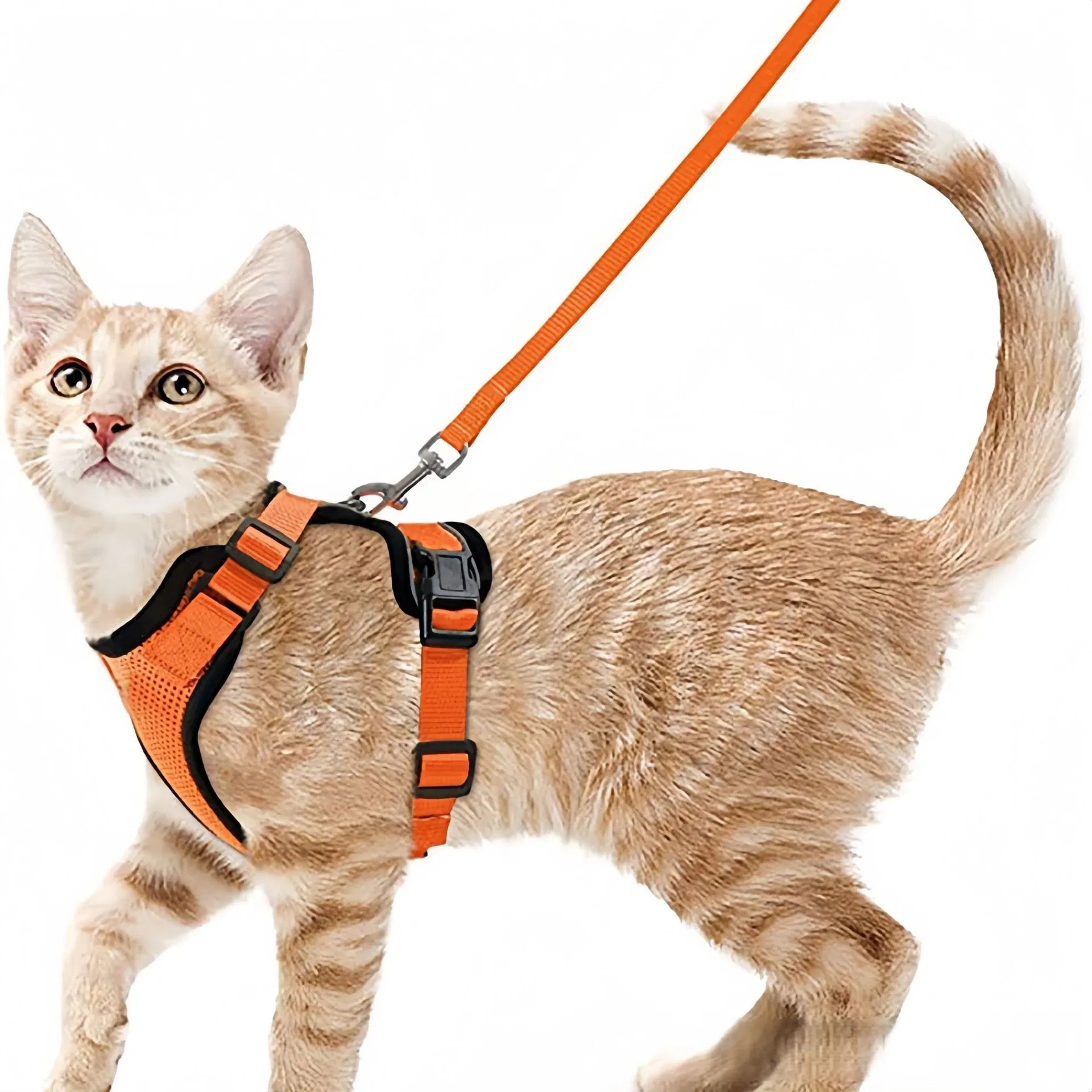 Arneses para gatos de todas las estaciones y cuerdas de salida, correas para el pecho de mascotas para aventuras al aire libre, nuevo arnés para mascotas