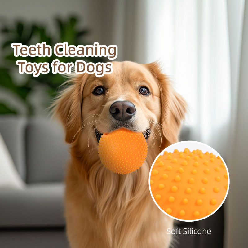 Juguete alimentador interactivo de acero inoxidable y silicona, bola alimentadora lenta clásica moderna para gatos y perros