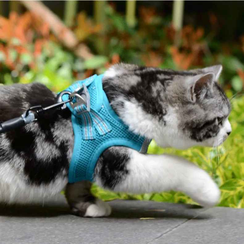 Productos para mascotas al por mayor, arnés de malla transpirable para gatos y perros