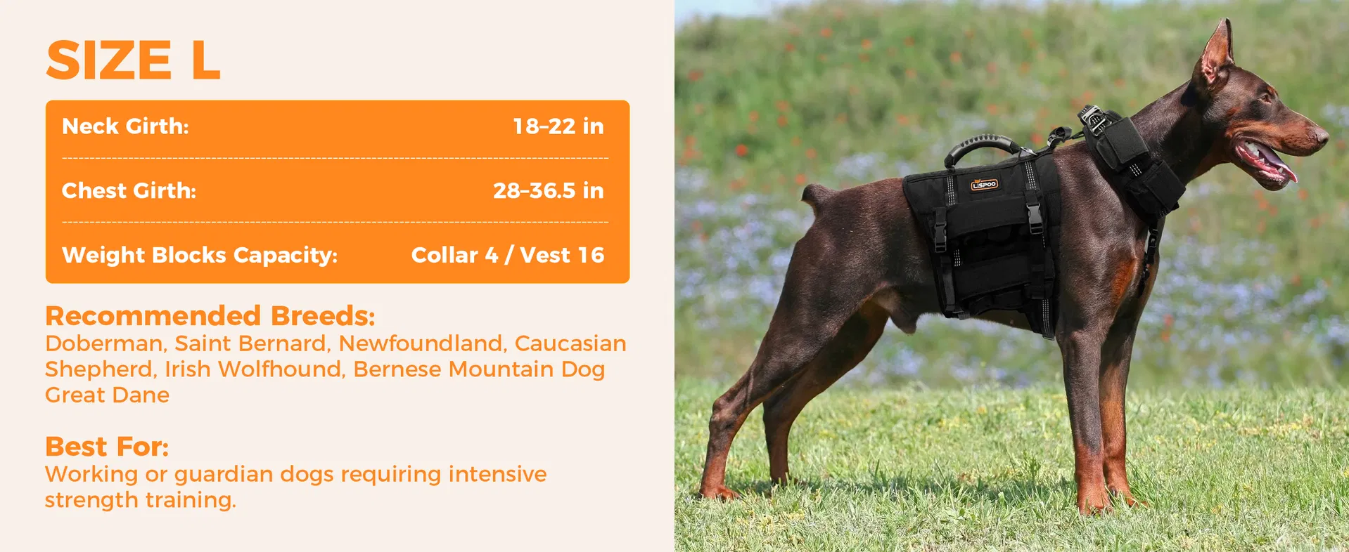 Conjunto de Chaleco y Collar para Perros con 4 Pesas Removibles de 0.88 Lb Equipamiento de Entrenamiento para Perros Medianos y Grandes