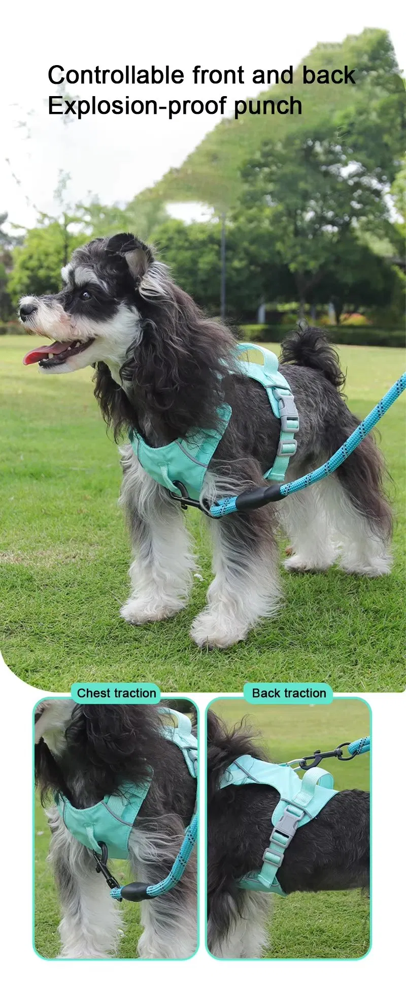 Arnés para perro mascota, impermeable, transpirable, reflectante, de secado rápido, equipo ajustable y ligero