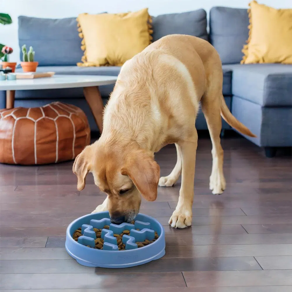 Tazón de comida para perros y gatos de silicona ecológica