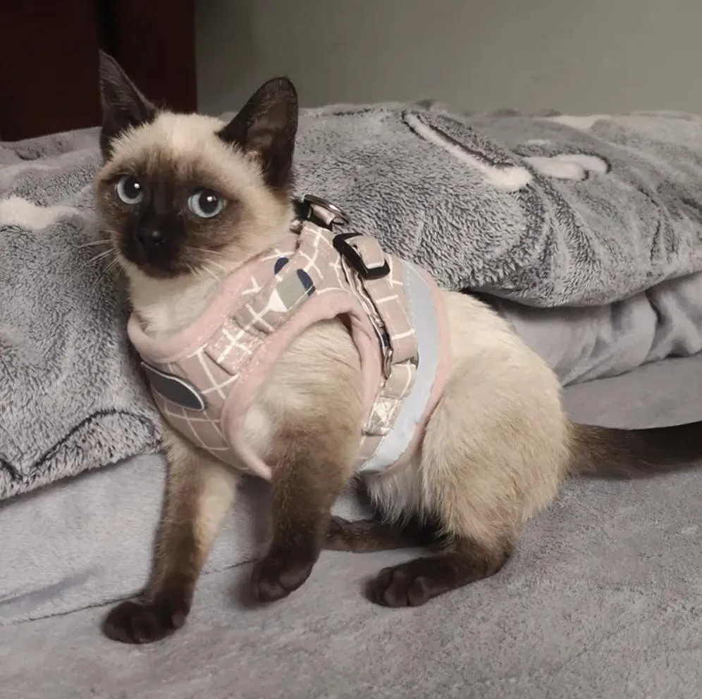 Collares de Gato de Cuadros de Malla de Verano para Mascotas, Arnés para Gatos al Aire Libre con Liberación Rápida