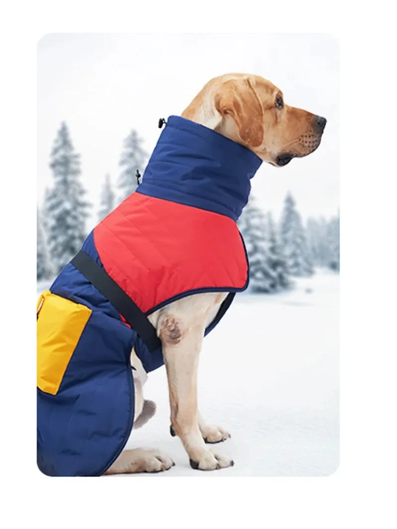 Detalle chaqueta perro 6