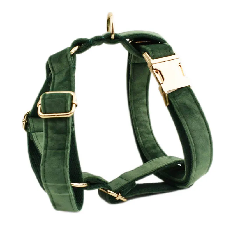 Conjunto de Arnés para Perros