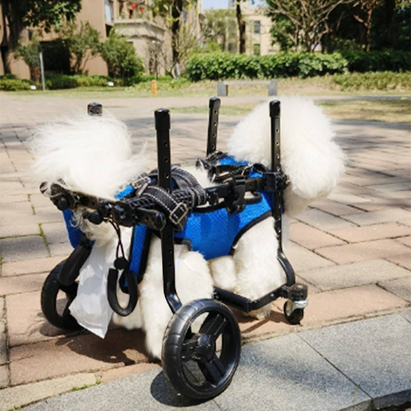 Arnés de rehabilitación para perros pequeños heridos con carro de ruedas traseras dobles