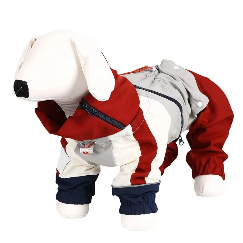 Recomendación de estilo ropa mascotas